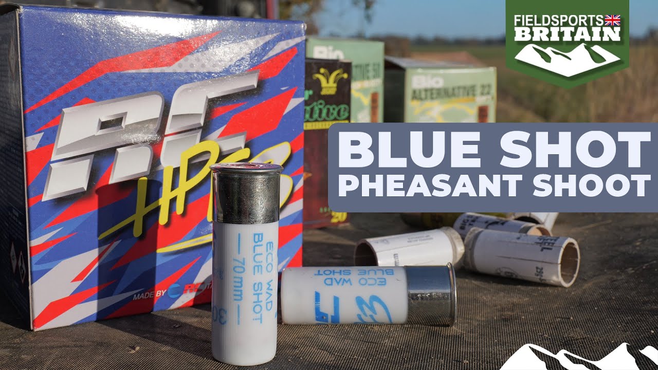 Blue shot pheasant shoot