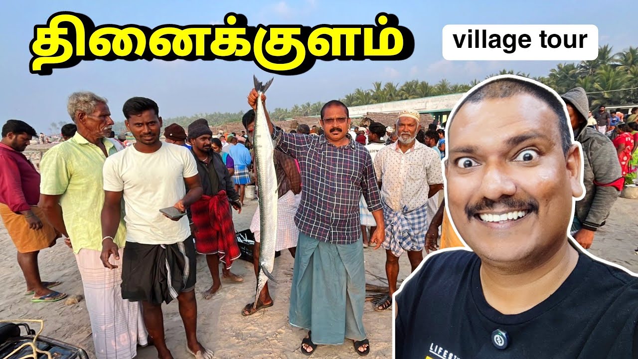 தினைக்குளம் வில்லேஜ் டூர் Thinaikulam Village Tour | Asraf Vlog