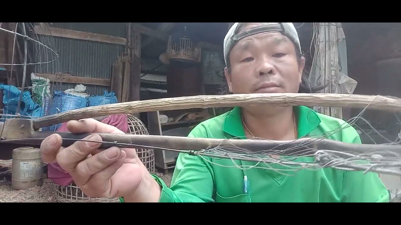 นกเขาใหญ่ตาฝั่งพอง: กลไกเพนียดที่ผมรู้
