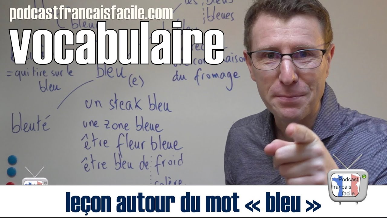 Leçon vocabulaire français   cours FLE   LE BLEU