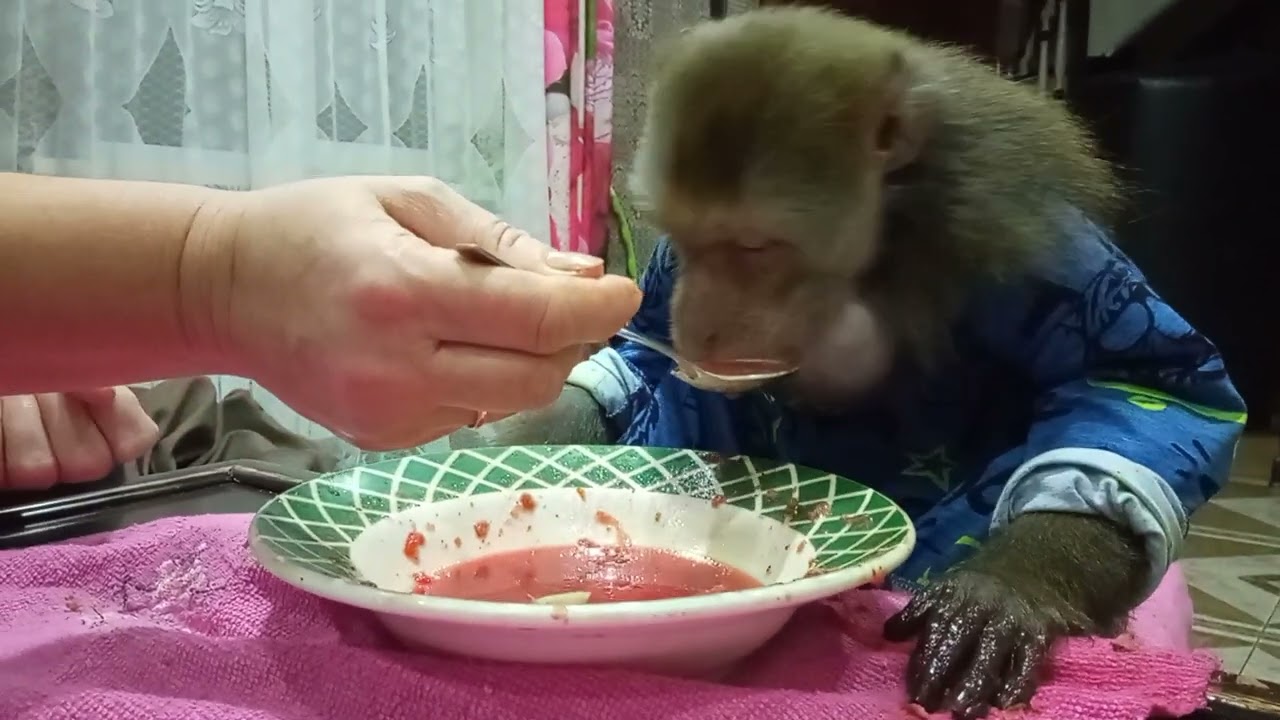 Гоша,вечером с семьёй