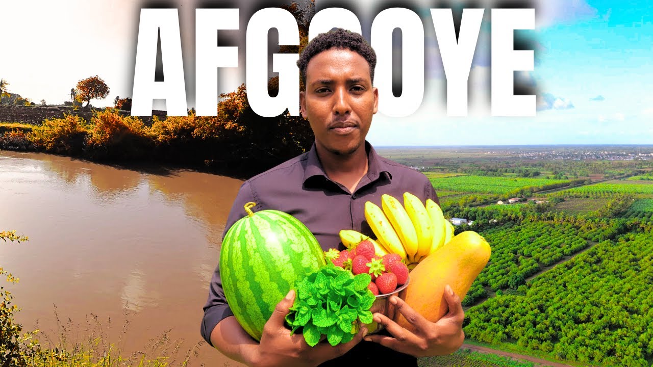 Afgooye dhulbeereedka ugu weyn gayiga somalida 2025