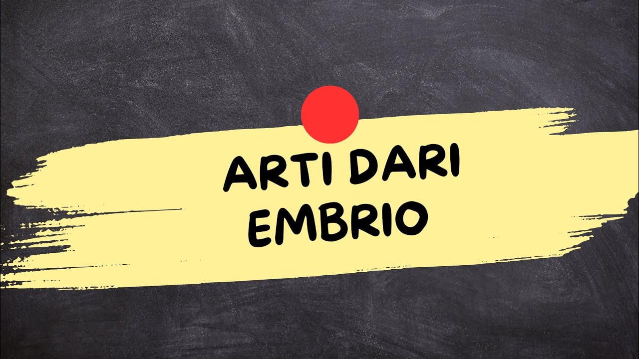 ARTI DARI EMBRIO (Embrio Adalah)