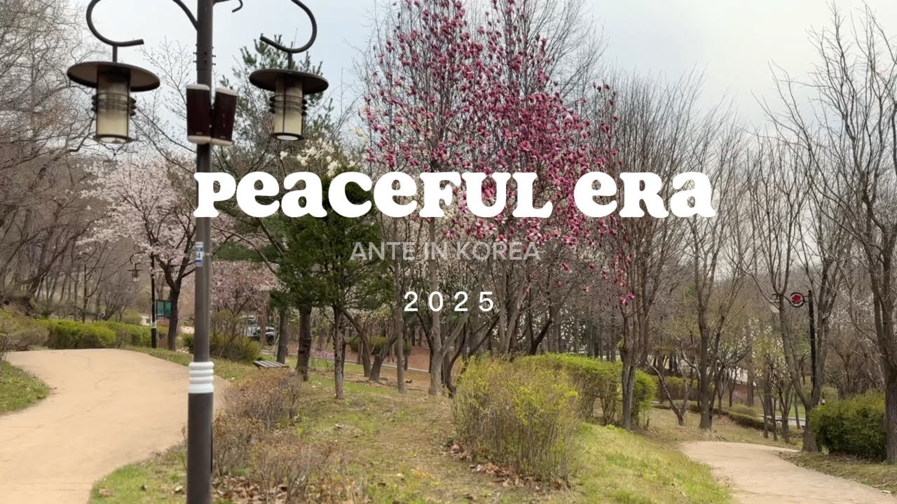 Living in Korea | Public Park in korea