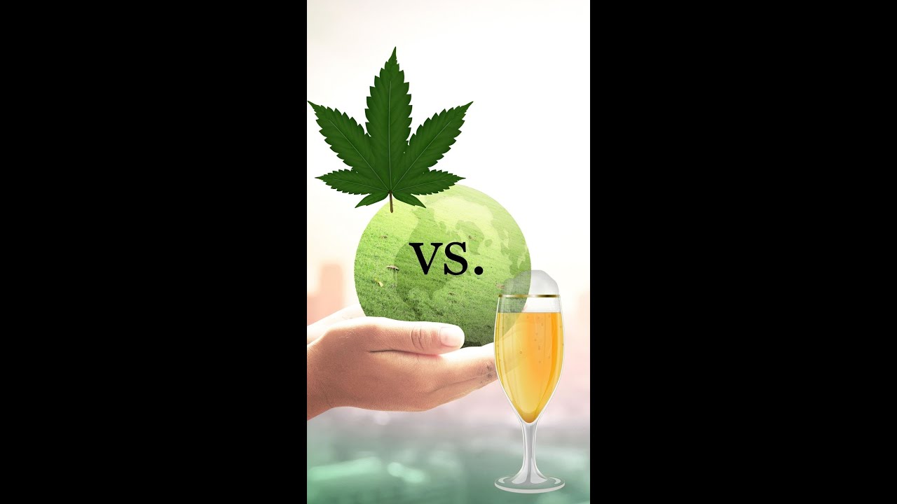 Cannabis vs. Alkohol aus &ouml;kologischer Sicht #Kurzvideos