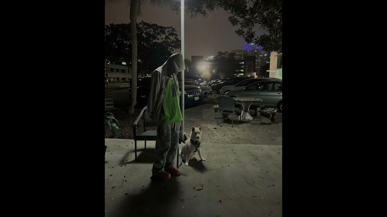 (free for profit) havinmotion x dmv sample type beat - 