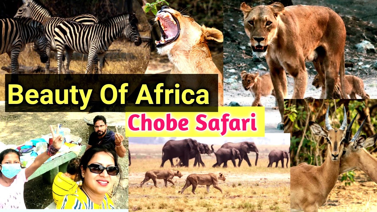 Chobe Safari Part 2 | 3rd largest Safari in the world | Travel Vlog | Odia Family In Africa