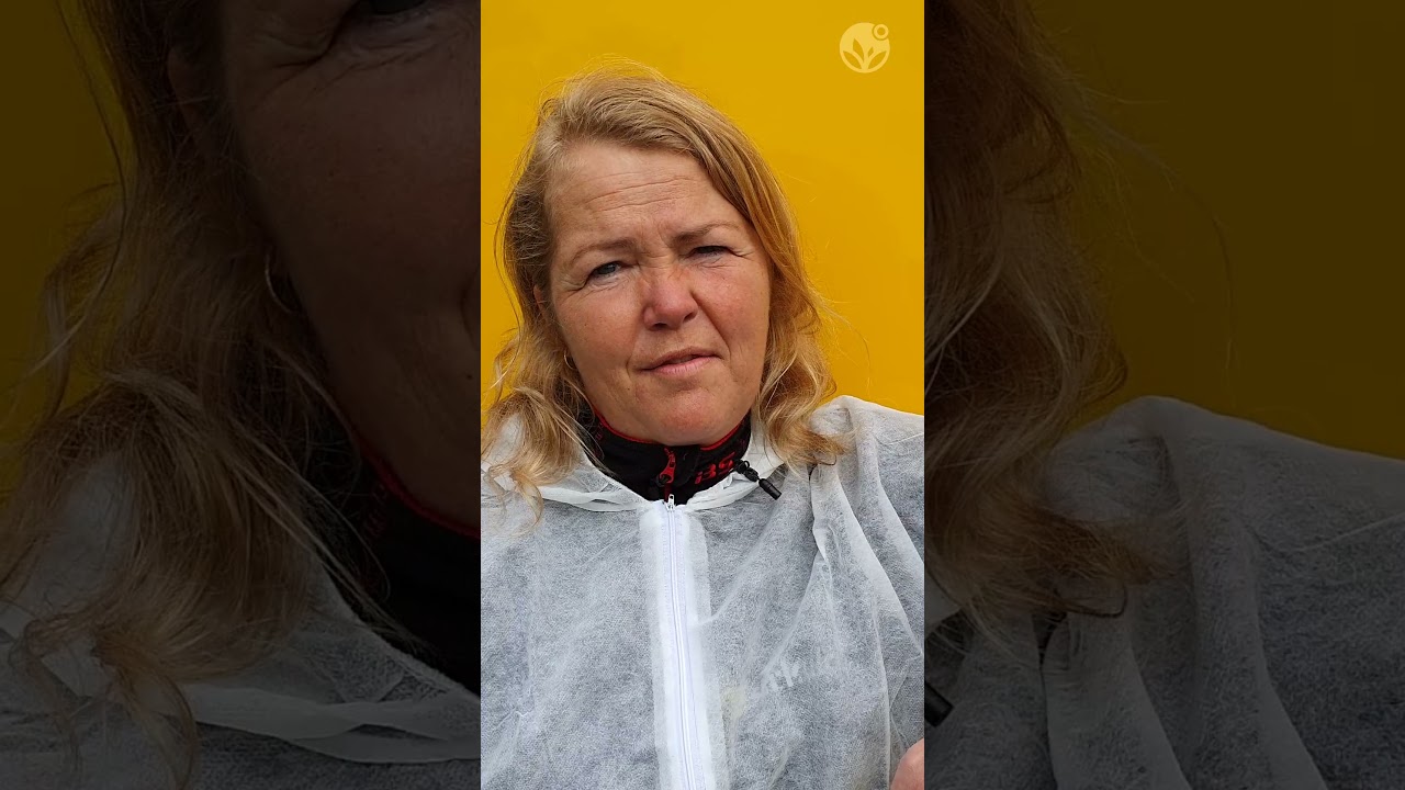 Kvitte deg med asbest eller eternitt?