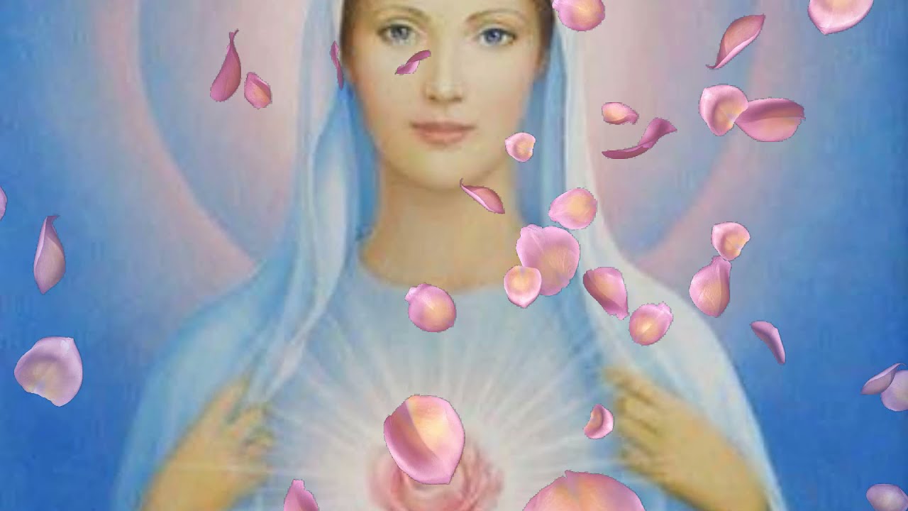 🌷 Minha Rosa Do Jardim ⭐ Padrinho Alfredo 💎 O Cruzeirinho