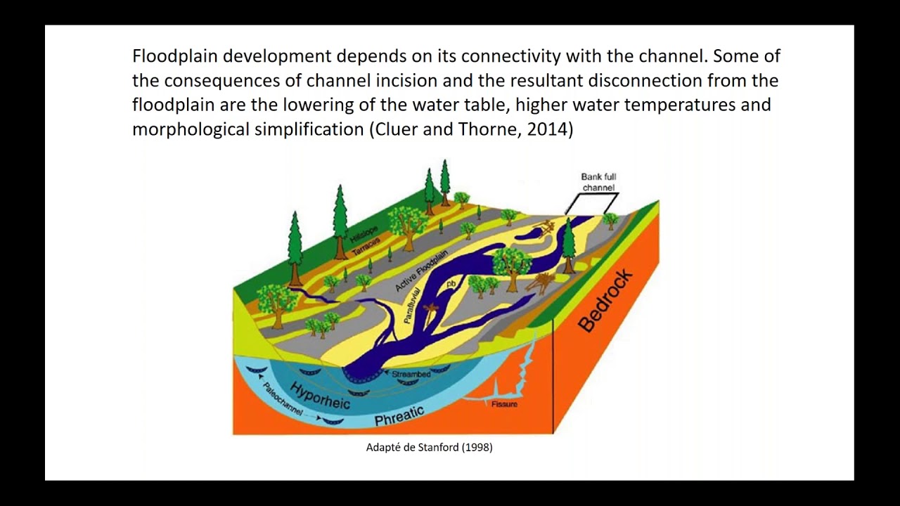Restoration of fish habitat in rivers, Pascale Biron (Concordia University)
