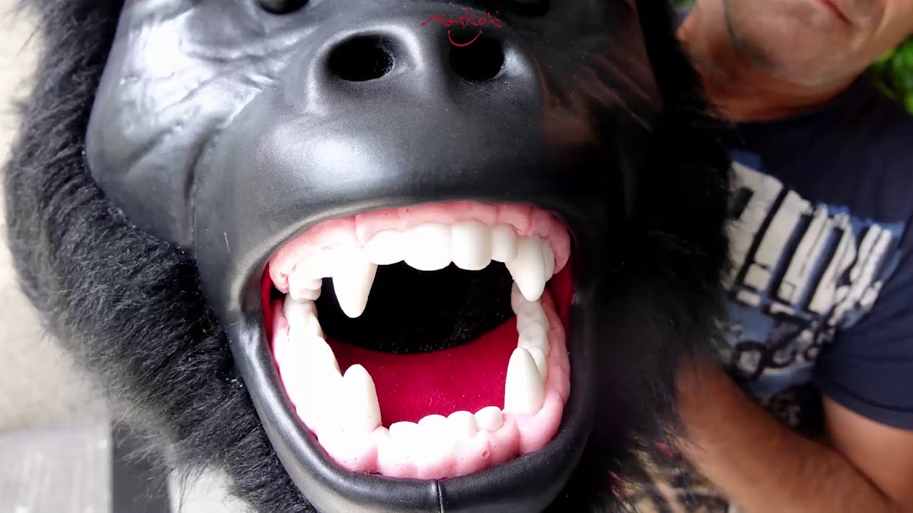 Mascot Production, Depth in Three Dim  Mascot Teeth