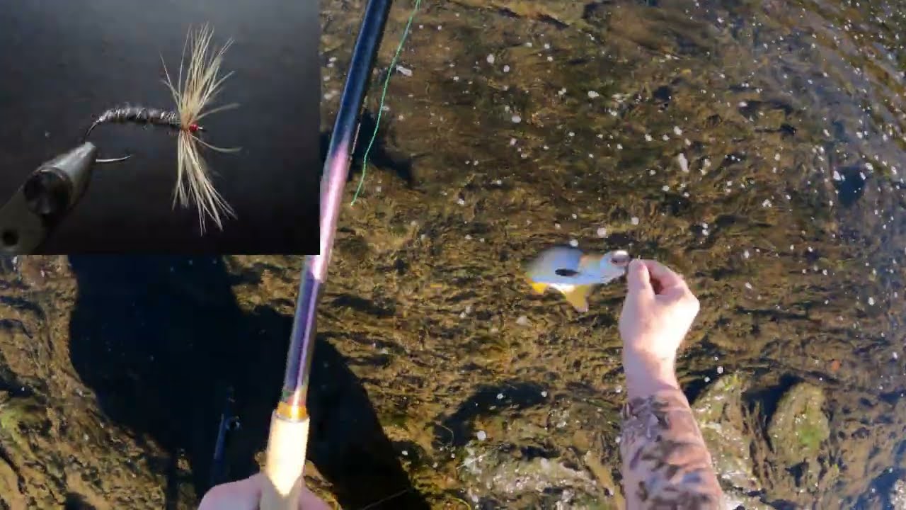535. 17 октября 2025 г. (Ловля рыбы нахлыстом Tenkara)