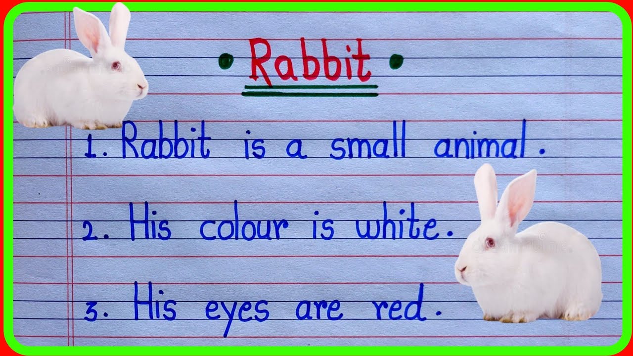 rabbit essay 10 lines in english | rabbit essay writing  |essay on rabbit in english |rabbit nibandh
