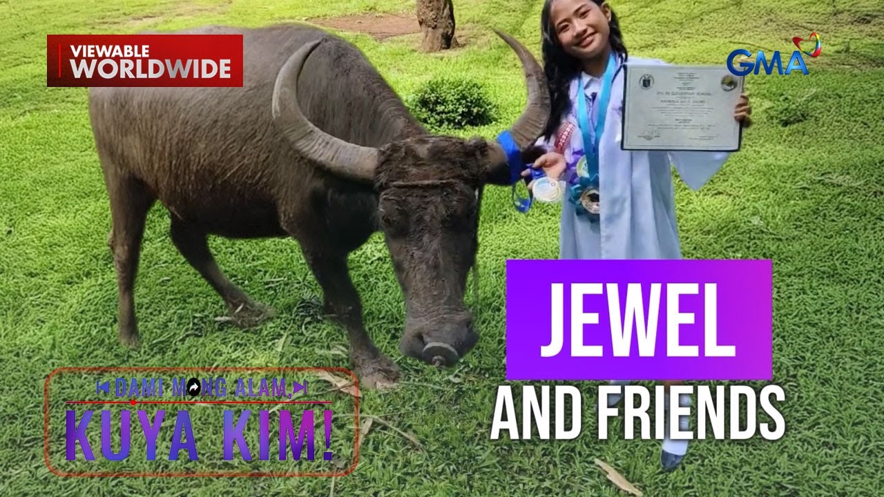 12-anyos na bata, may best friend na kalabaw! | Dami Mong Alam, Kuya Kim!