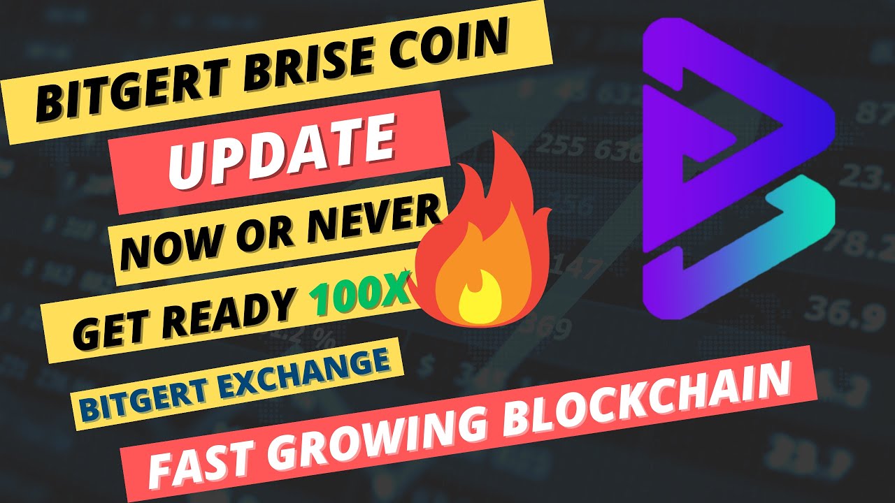 BRISE IS RISING || BITGERT PROJECT UPDATE | BURN NEWS 2023