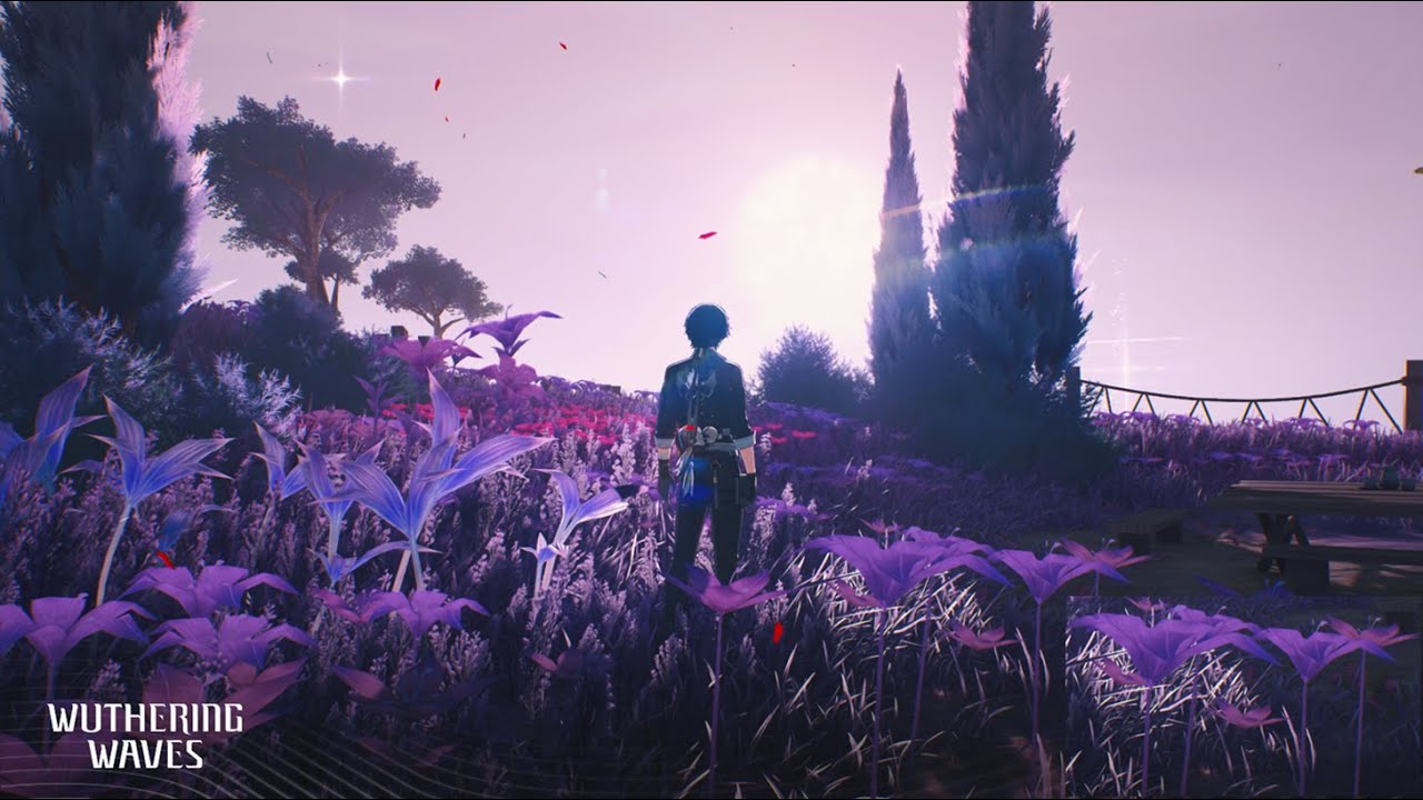 Walking with Phrolova Part 2 | Dreamcatchers in the Secret Garden Quest Ending | Wuthering Waves