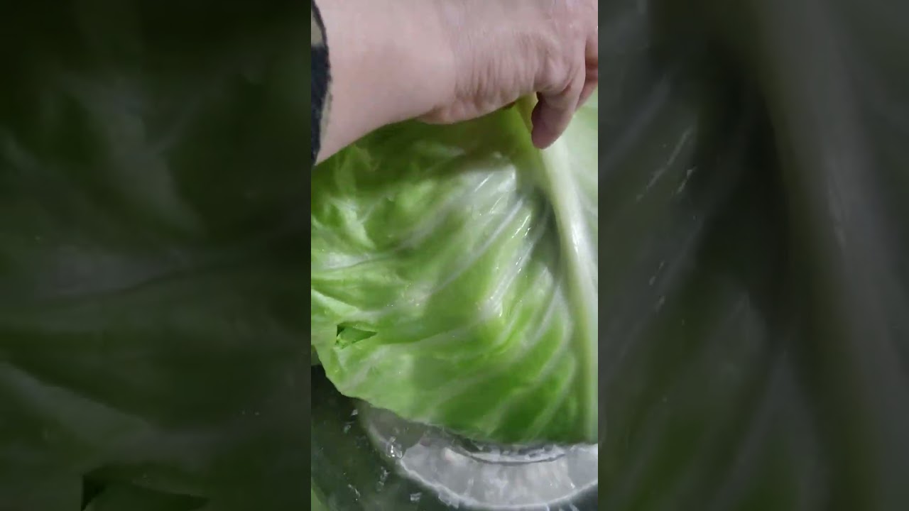 محشى الكرنب اللذيذ