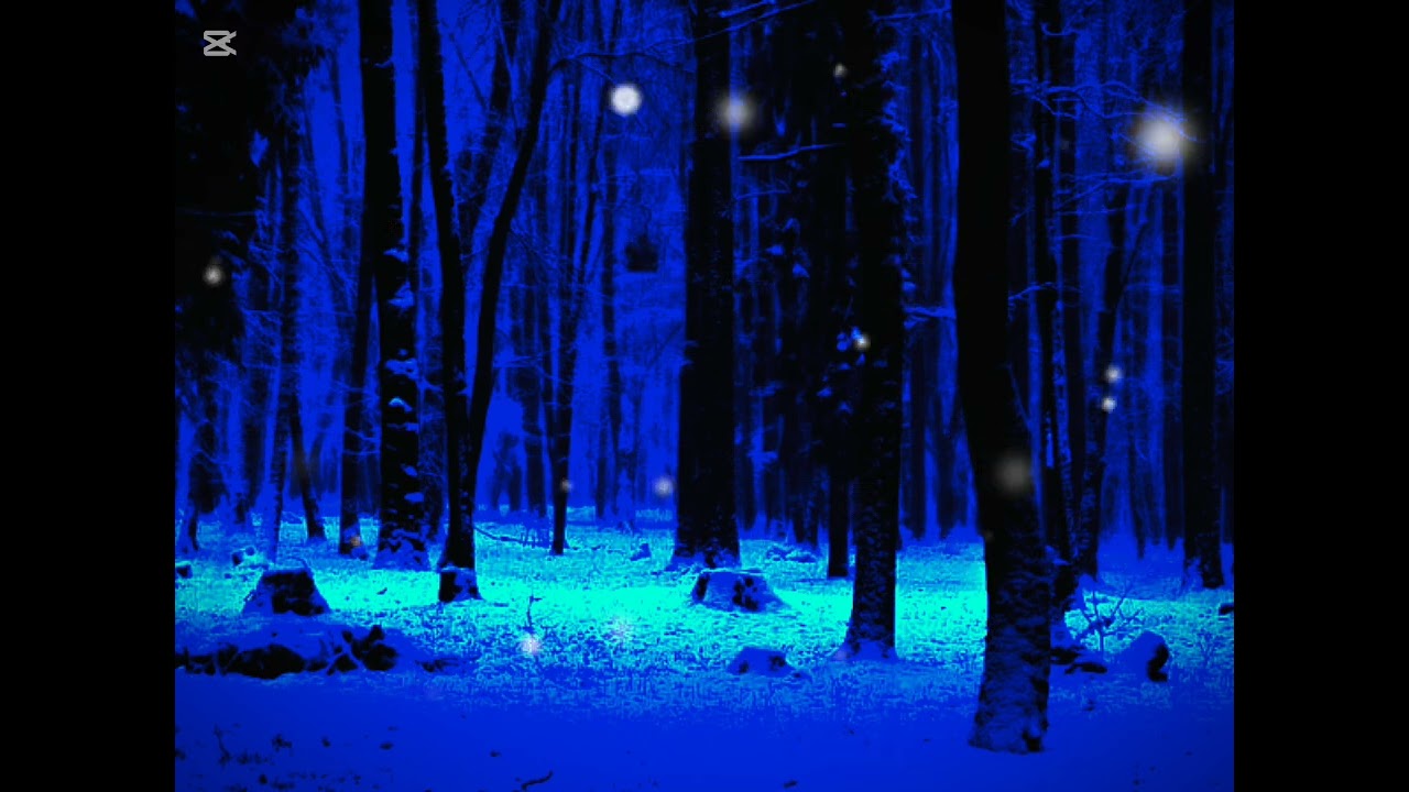 The ambient light