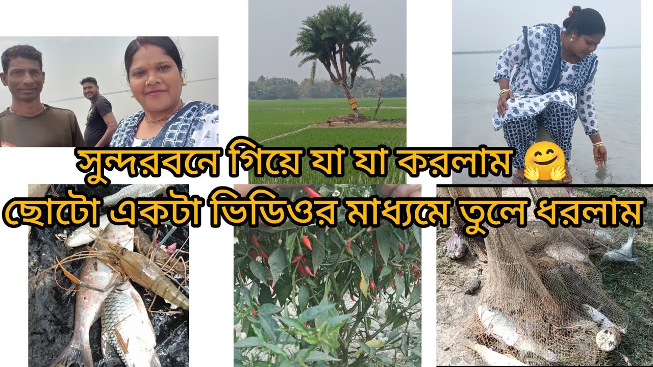 সুন্দরবনে গিয়ে যা যা করলাম 🤗 ছোটো একটা ভিডিওর মাধ্যমে তুলে ধরলাম 🌄#vlog #cookin #bangla 