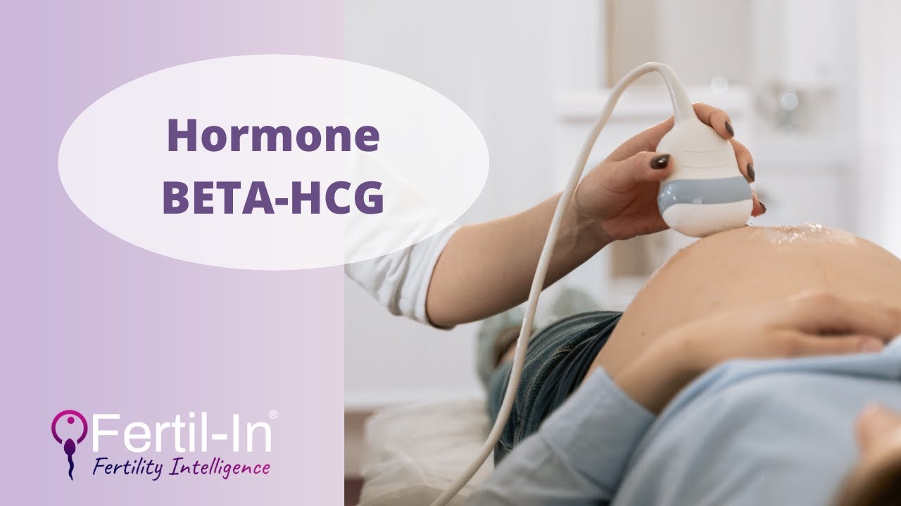Comprendre l'hormone BETA-HCG