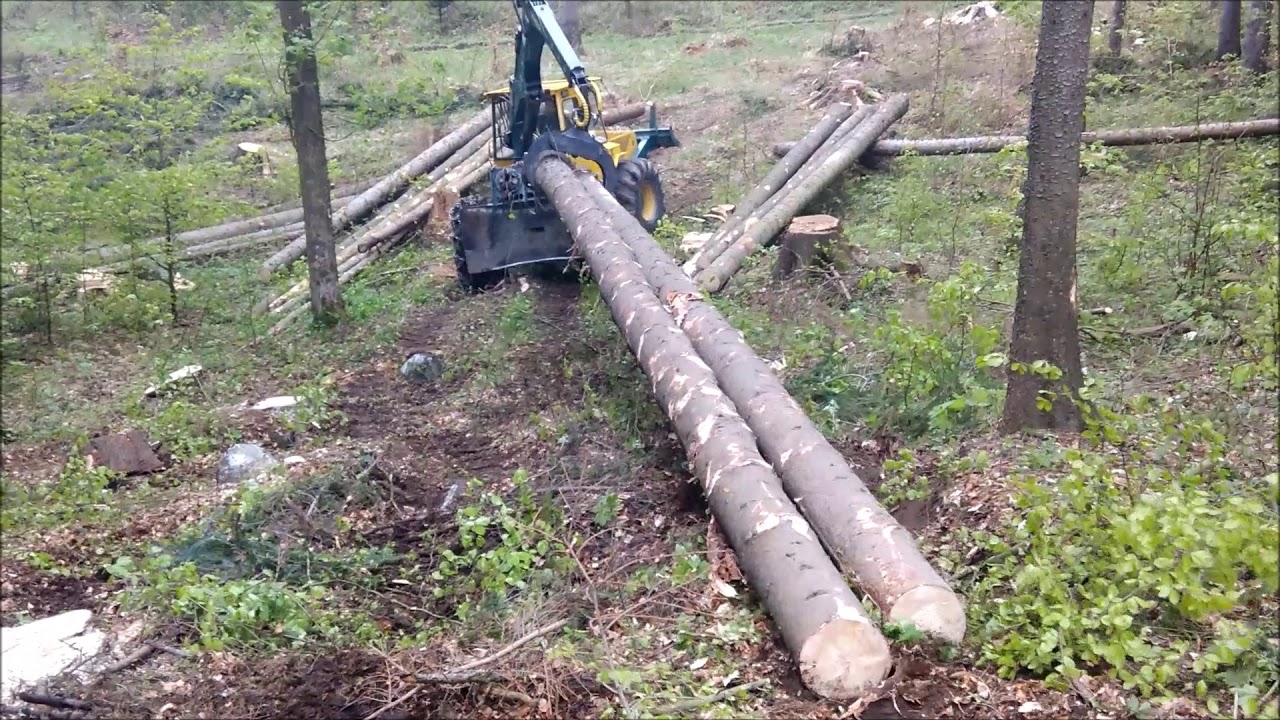 #ForestVlach# 