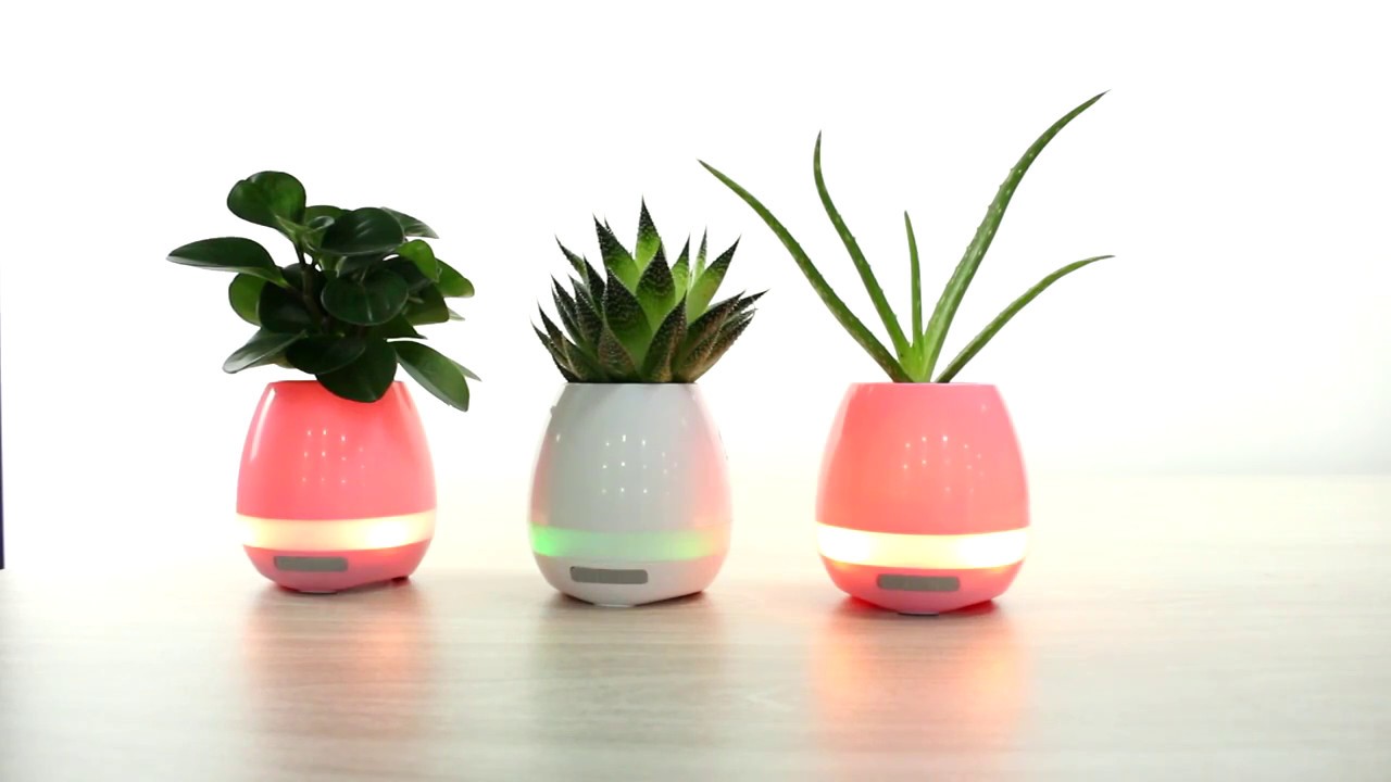 Smart Musical Flower Pod