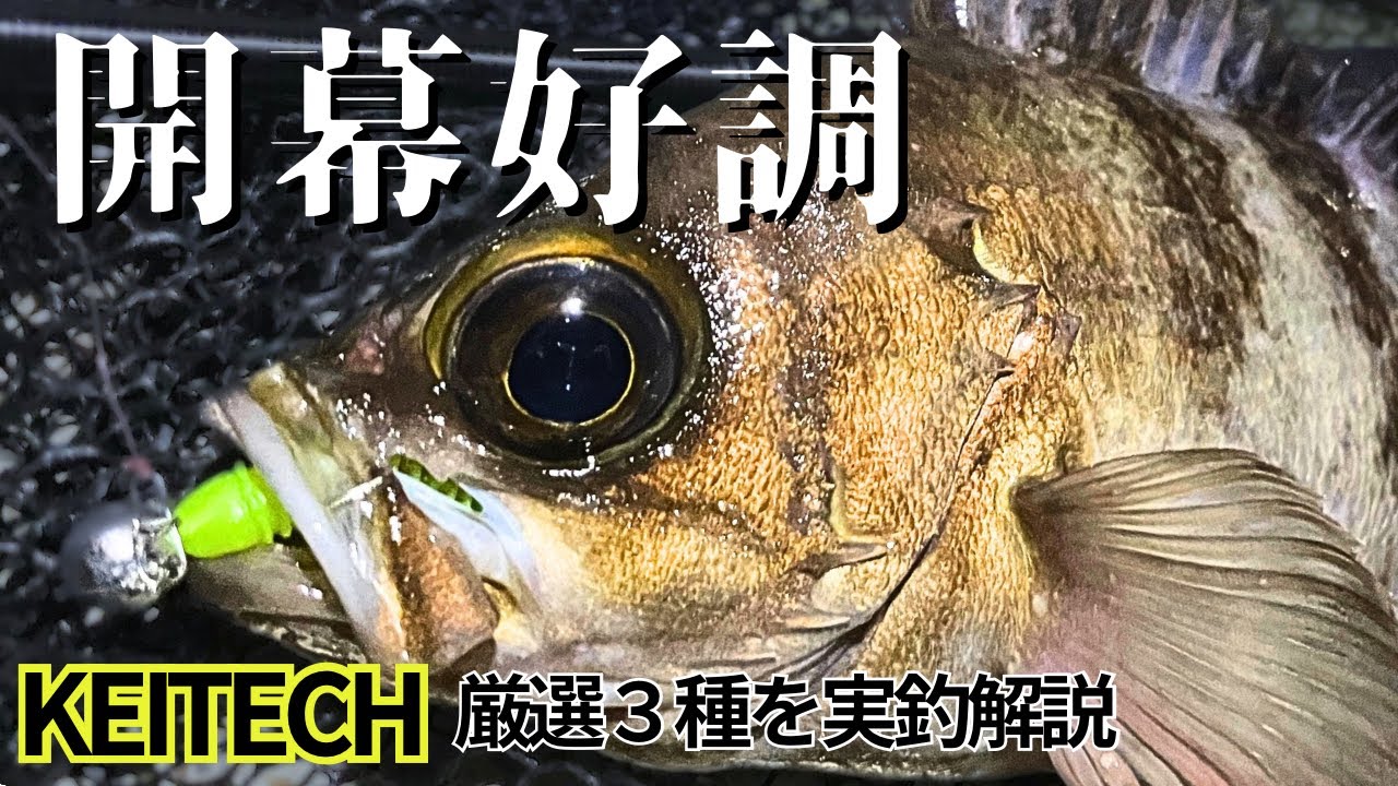 【メバリング】正直、これだけあればいい。渋い開幕戦を打破した「ケイテック」ワームの破壊力。