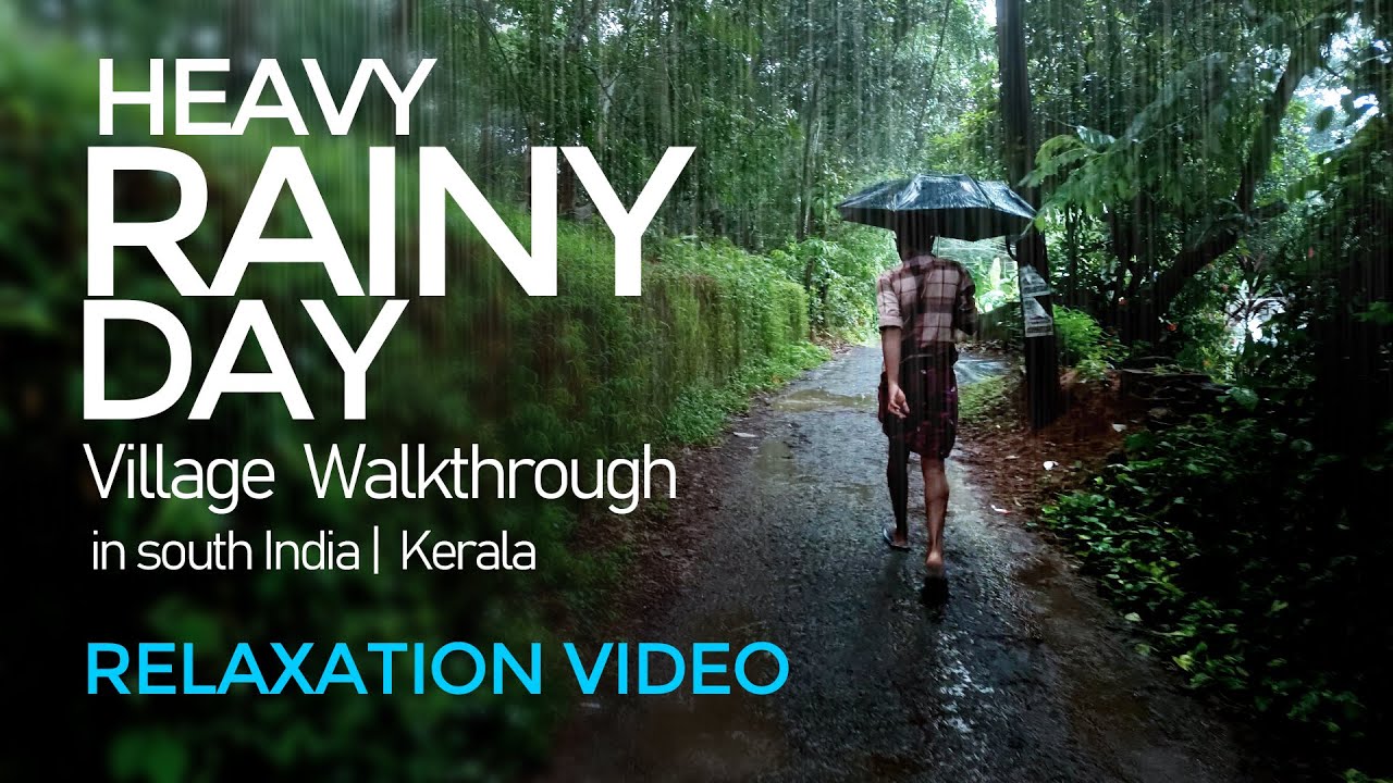 Walking in heavy rain | Village road in South India  | Rain Sound Under Umbrella | Relaxing video