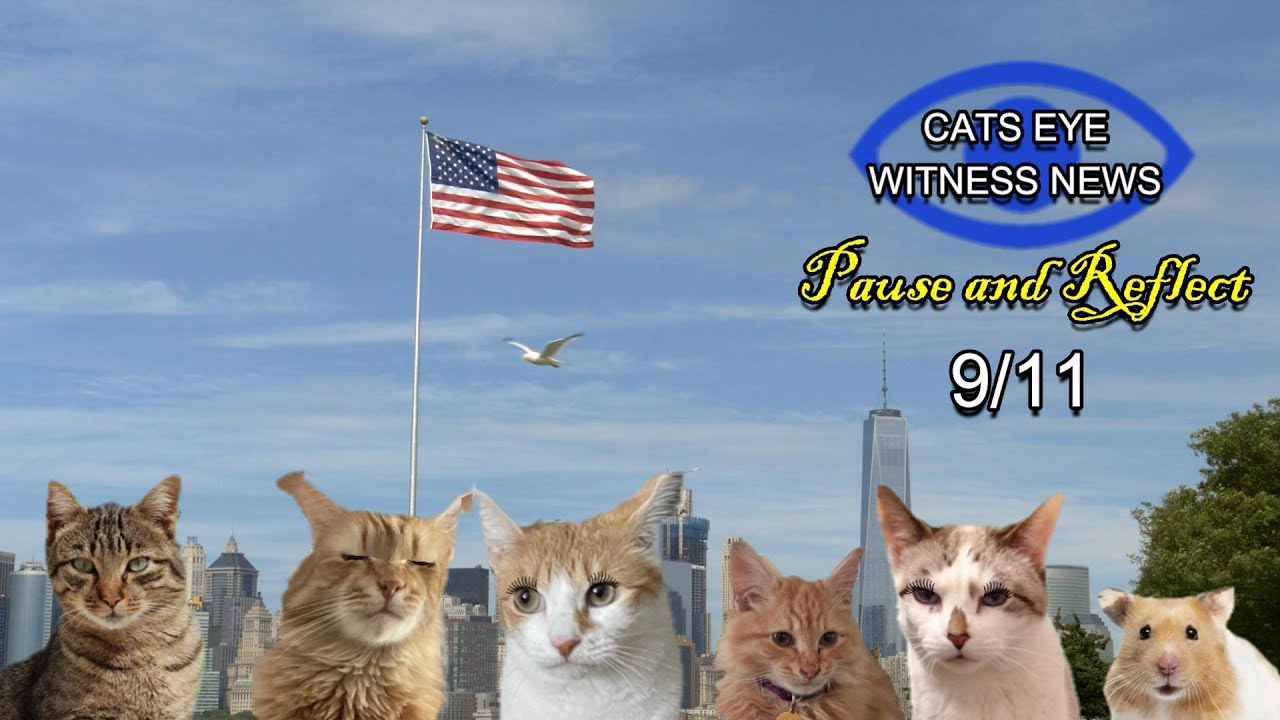 CATS EYE WITNESS NEWS - 9/11 TRIBUTE