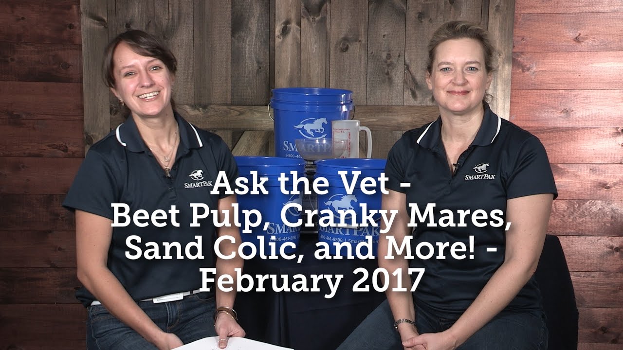 Ask the Vet - Beet Pulp, Cranky Mares, Sand Colic, and More! - February 2017