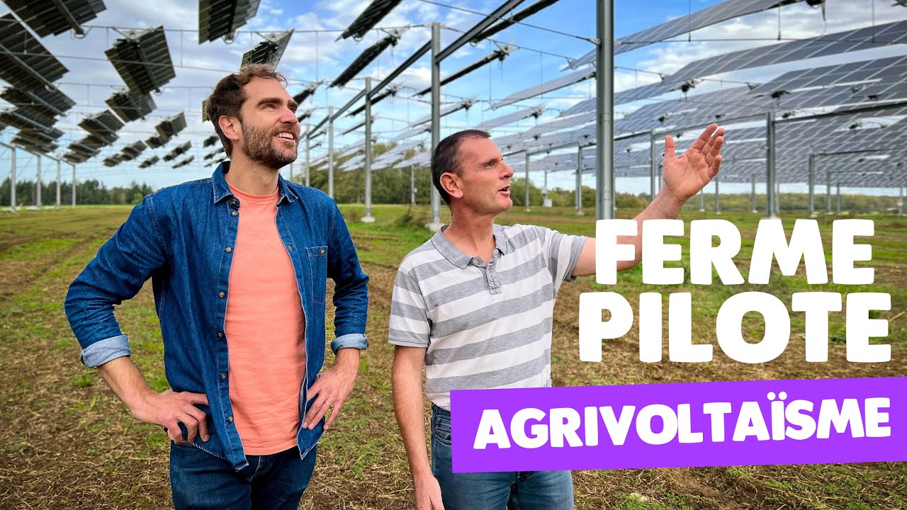 Agrivoltaïsme : première en grandes cultures (agriculture photovoltaïque)
