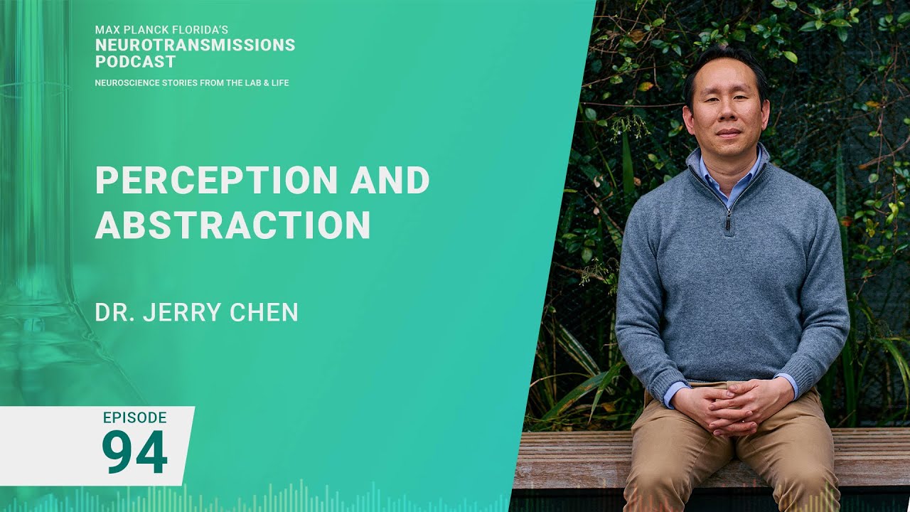 Podcast Episode 94 - Perception and Abstraction | Jerry Chen