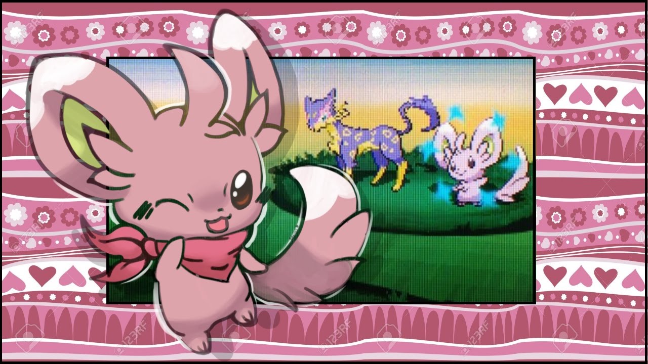 (WSHC #7 2015-16) LIVE!! Shiny Minccino after 416 REs in Black 2