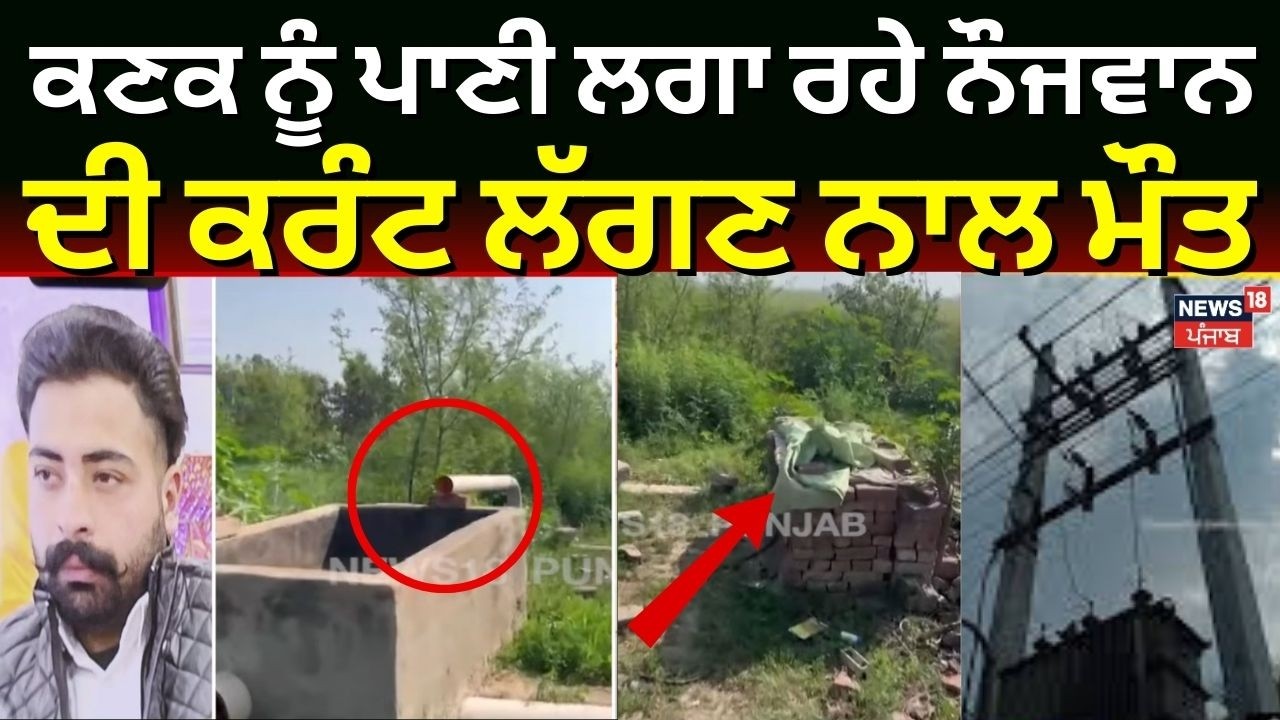 Samana Youth Dies | ਕਣਕ ਨੂੰ ਪਾਣੀ ਲਗਾ ਰਹੇ ਨੌਜਵਾਨ ਦੀ ਕਰੰਟ ਲੱਗਣ ਨਾਲ ਮੌਤ | Punjab News | N18V