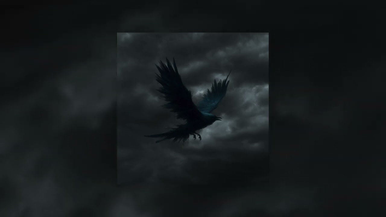 Kuba Kluza - Bluebird (Audio)