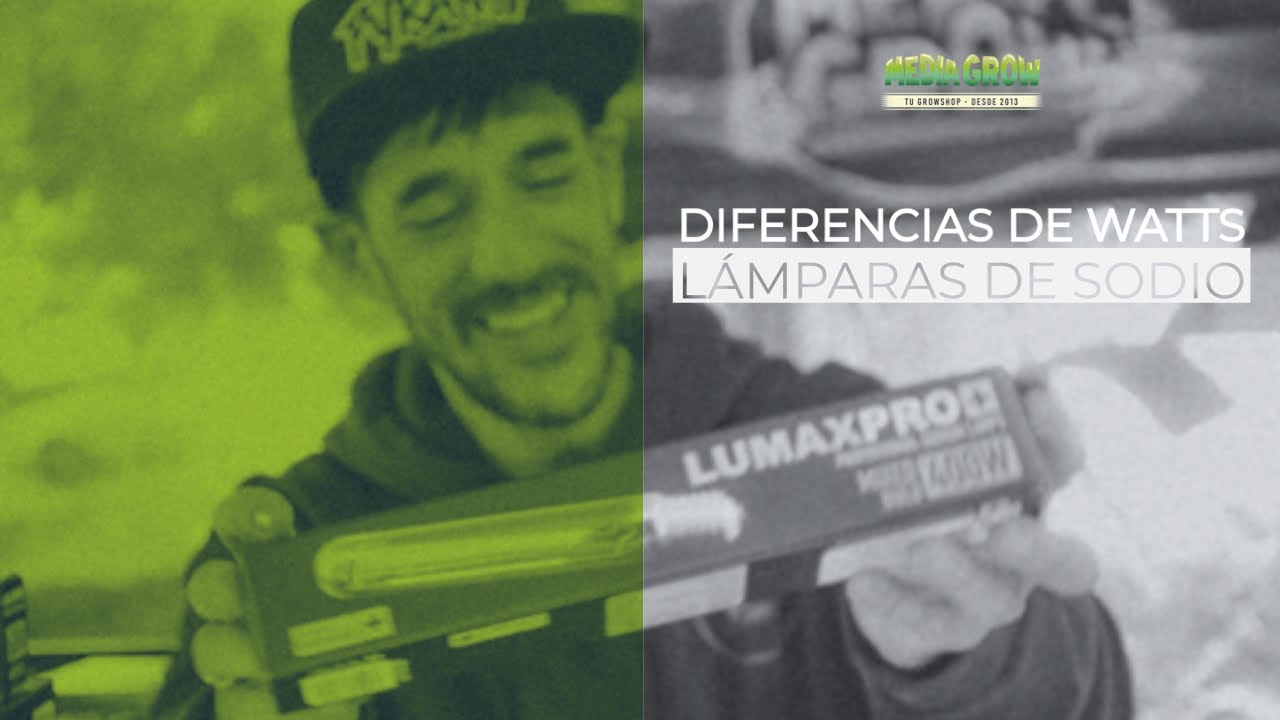 Decodificando la Iluminaci&oacute;n: Diferencias en Watts de L&aacute;mparas de Sodio