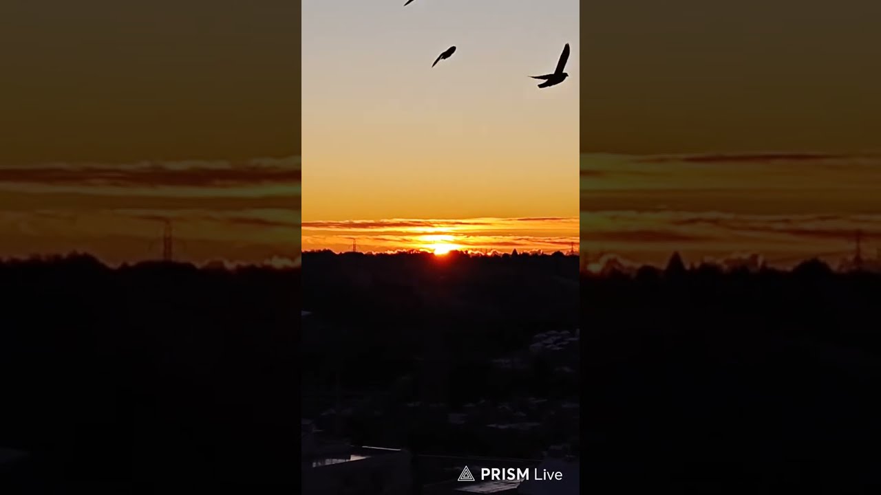 The 3rd sunrise of the New Year 2026 from Japan