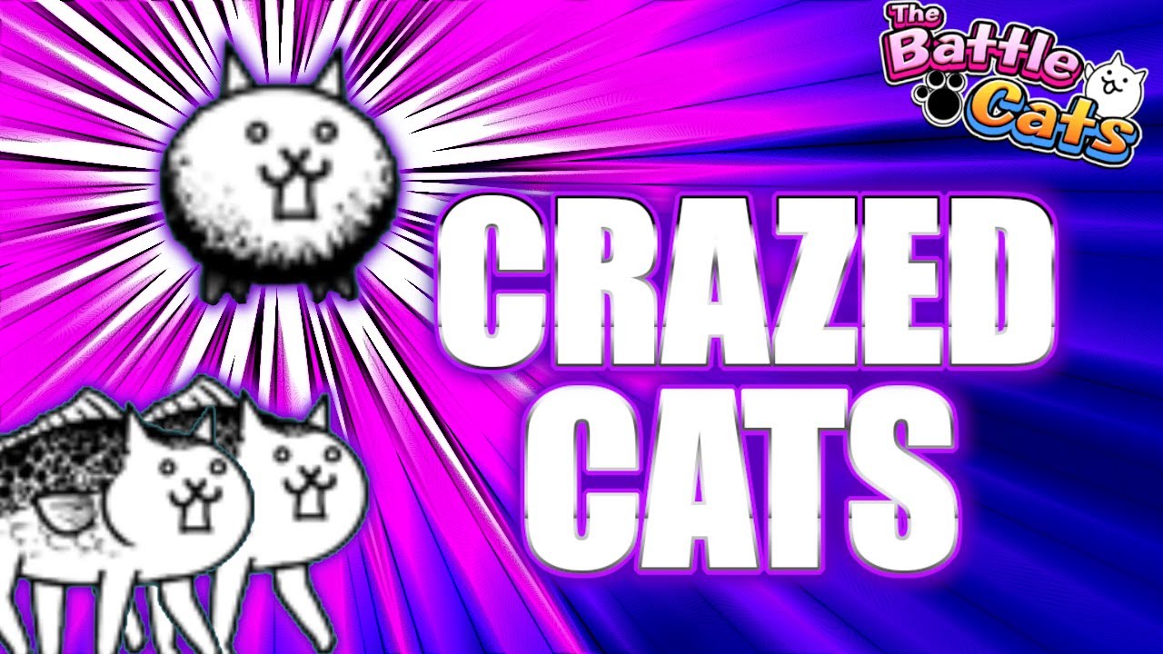 Когда стоит заводить CRAZED CATS? | Боевые коты