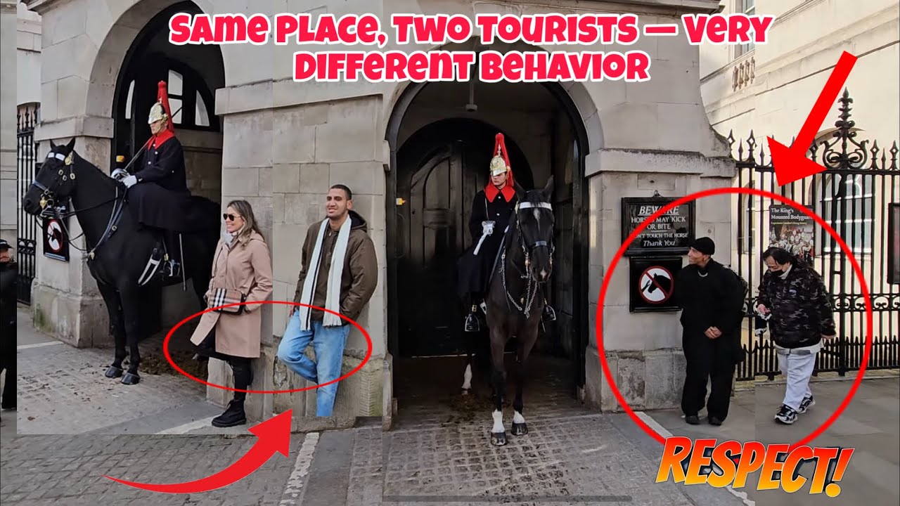 👉 Respectful Tourists vs Disrespectful Tourists — See the Difference at Horse Guard . 