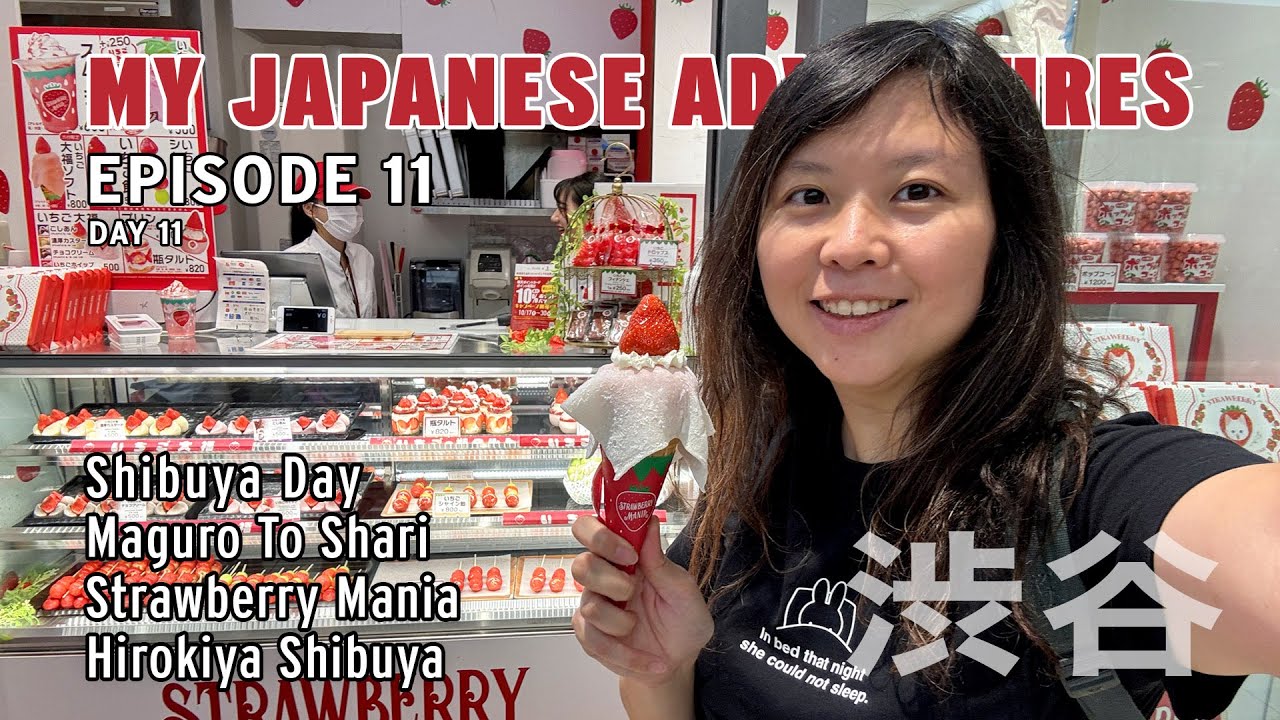 My Japanese Adventures Episode 11/Day 11: Shibuya Solo Day! Maguro To Shari, Hirokiya & Shopping!