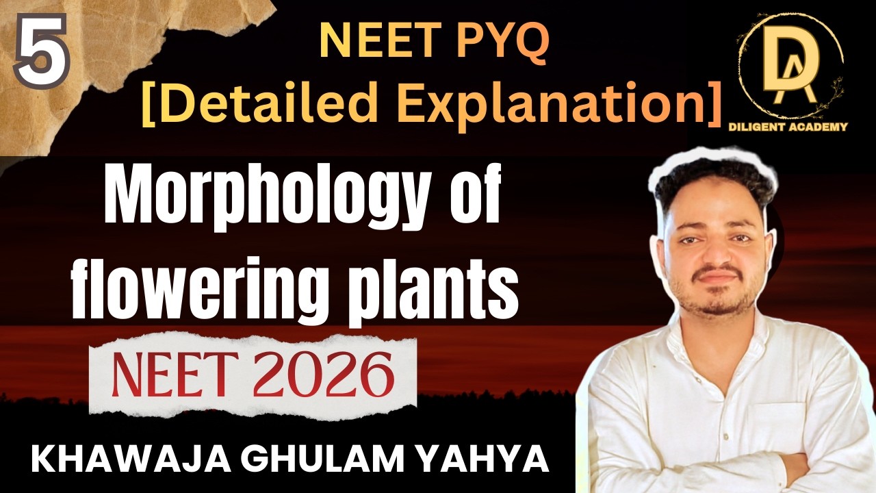 MORPHOLOGY OF FLOWERING PLANTS ||CLASS 11TH || NEET  PYQS|| WITH EXPLANATION