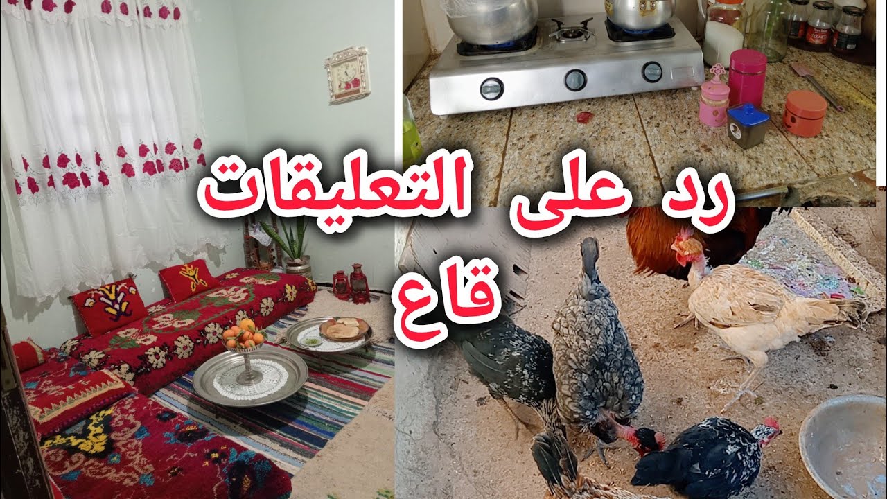اليوم قررت نرد على قاع تعليقات🥰حقيقة لازم تعرفوها 