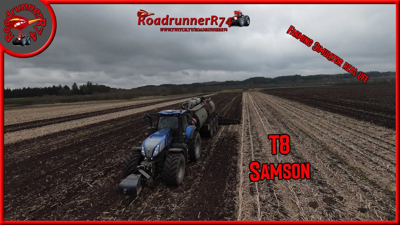 Gylle Tid New Holland T8 410 Blue power Gensis med Samson Pg 31  Nedfælder gylle i majs stub 🇩🇰