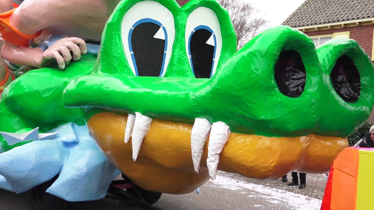 Carnavalsoptocht de Reigers 2017