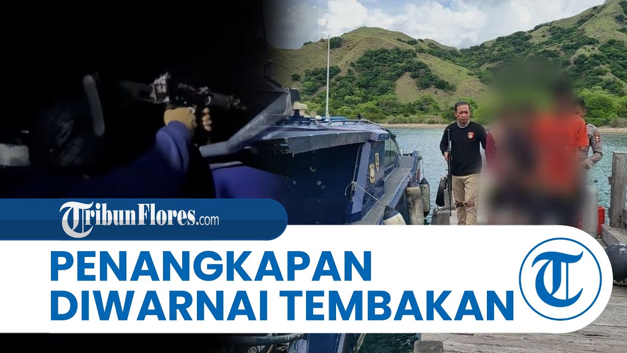 Baku Tembak Warnai Penangkapan Pemburu Rusa di Pulau Komodo, 3 Pelaku Berhasil Ditangkap