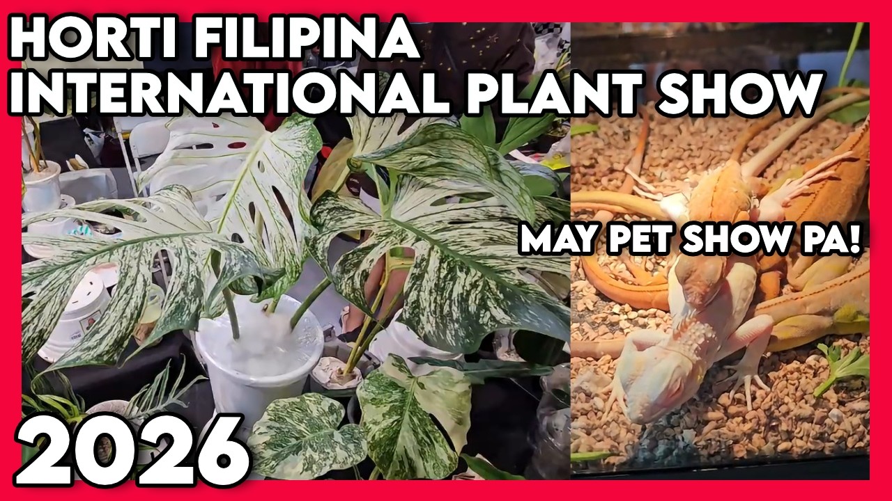 2026 Horti Filipina Plant Show and Sale | Pet Show & Hobby 