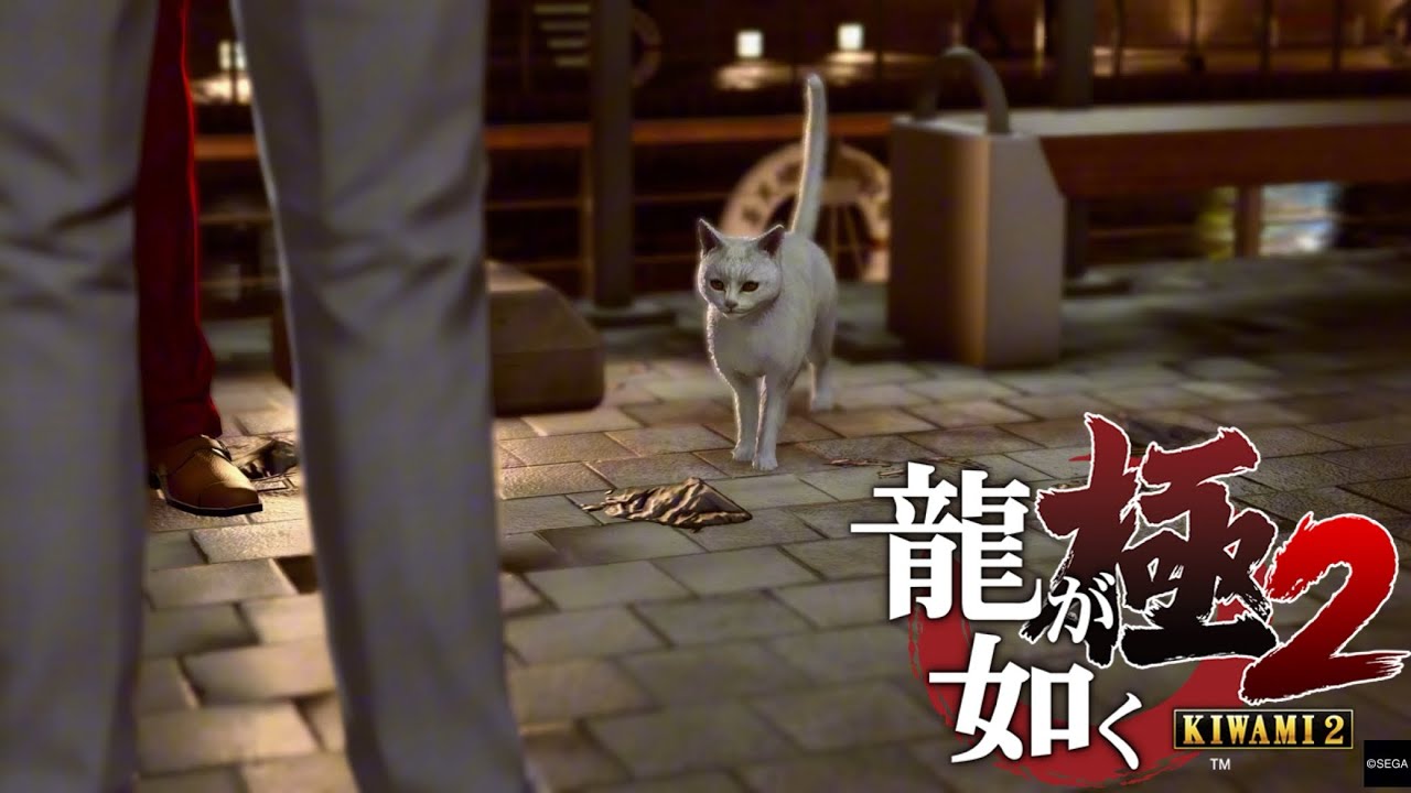 この子、まだ今後も出てきます？ #9 【龍が如く極2】