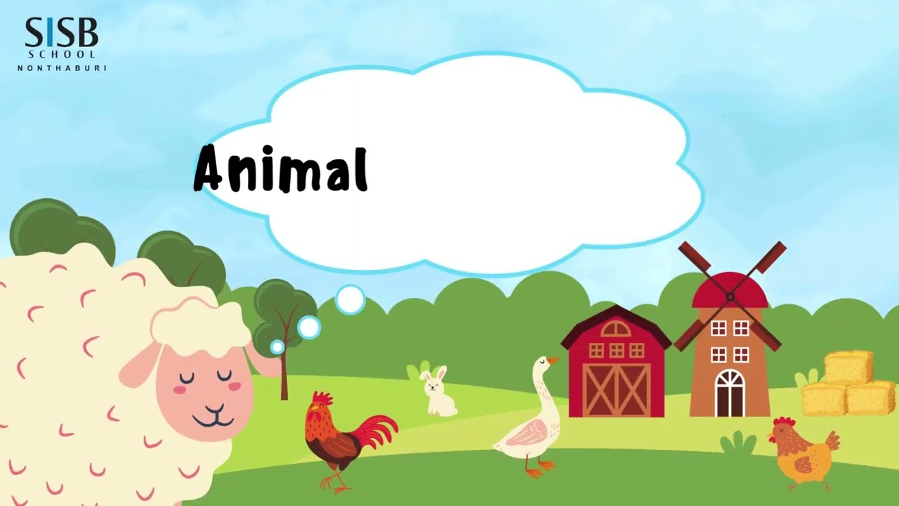 Animal Movements