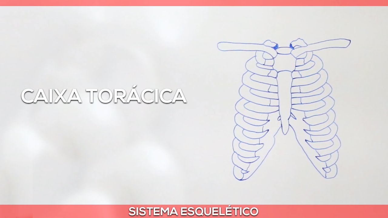 Caixa torácica