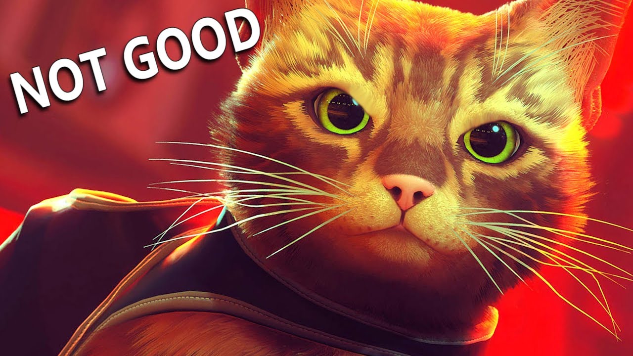 I DO NOT Recommend STRAY (Review in Under 2 Minutes) #Scyuview